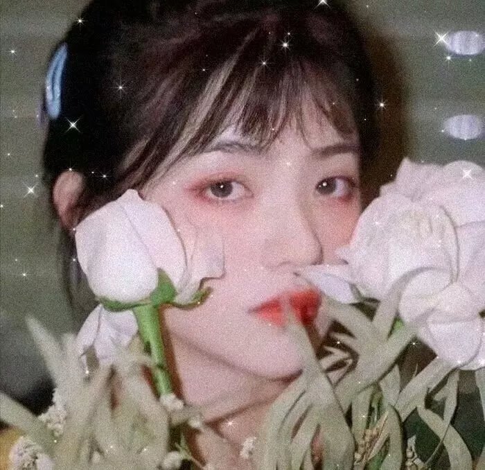英灵们的加油歌